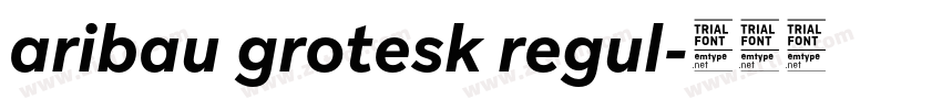 aribau grotesk regul字体转换